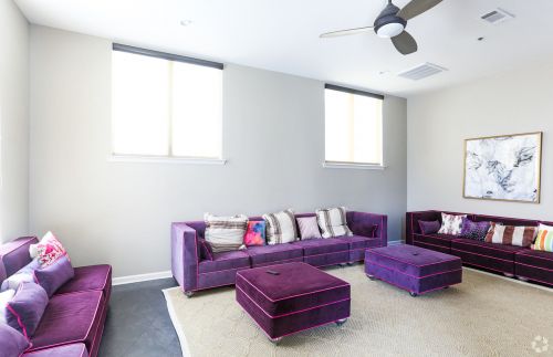 purple couch 